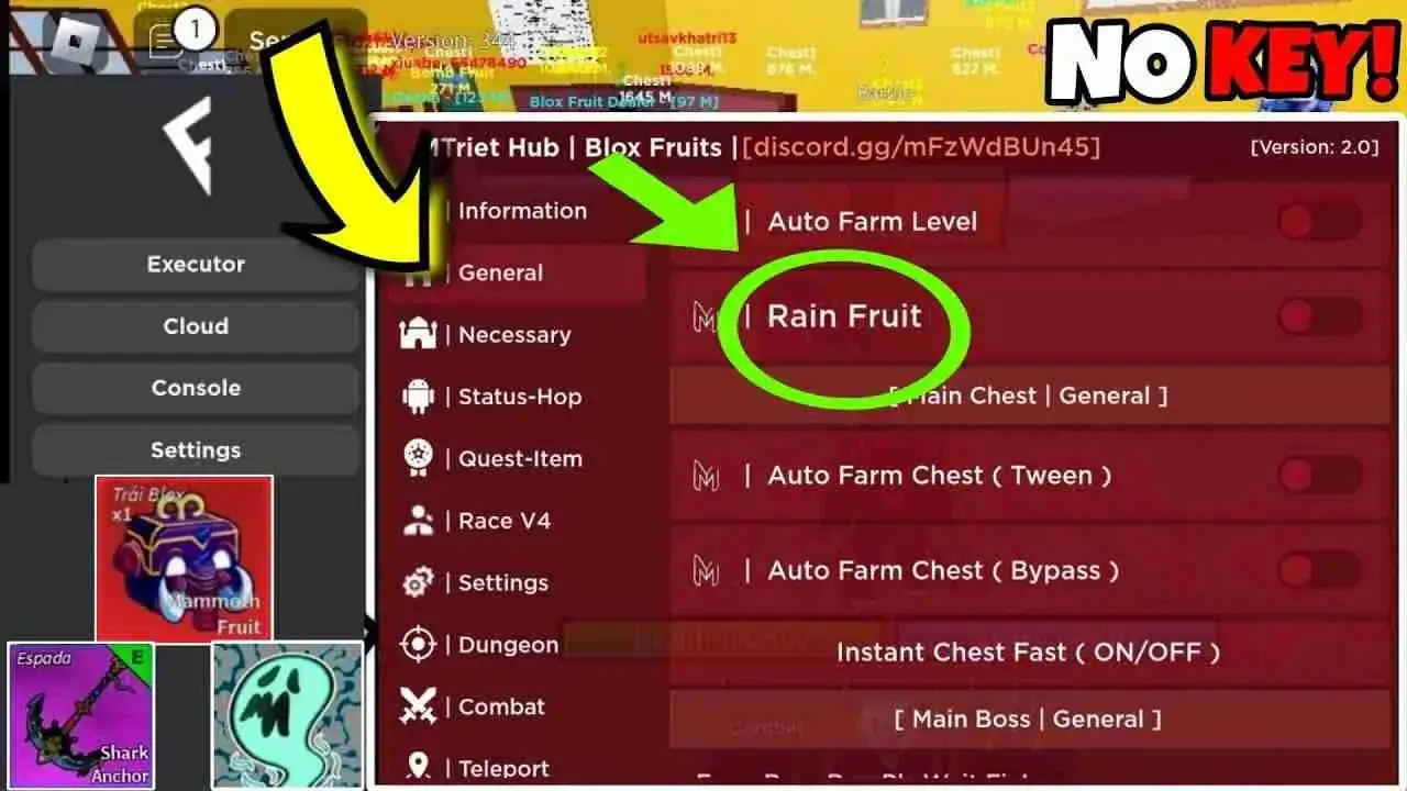 Screenshot Blox Fruits Script APK v4.6